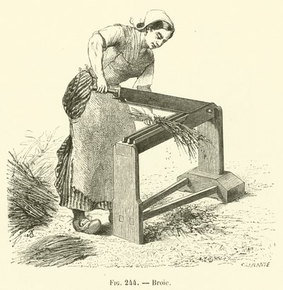 Broie (engraving) by French School