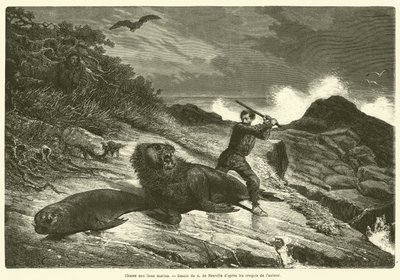 Sea lion hunting by French School