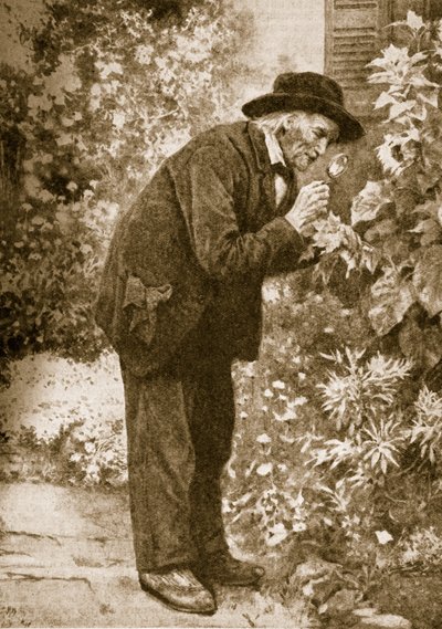 Jean-Henri Fabre observing insects by French School