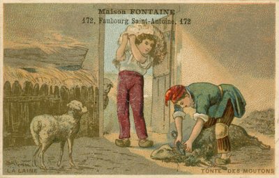 Maison Fontaine trade card, sheep shearing by French School