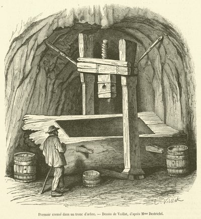 Press carved from a tree trunk (engraving) by French School