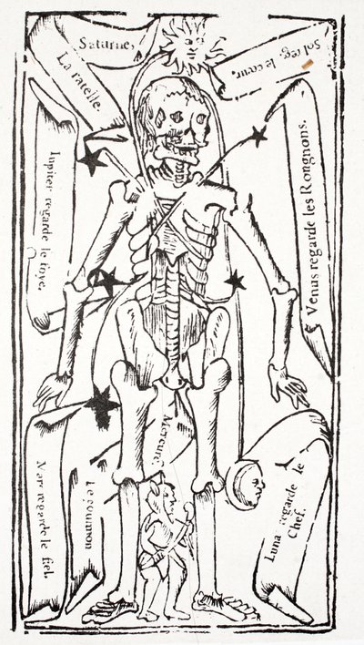Skeleton with Signs of the Zodiac by French School
