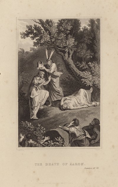 The Death of Aaron by French School