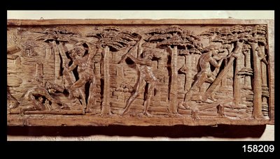Trade of Wood from Brazil by French School