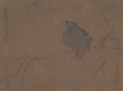 Mynah on Reed by Fulan Taorên.