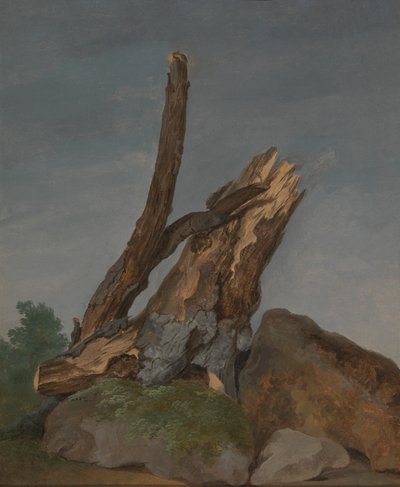 Study of Rocks and Branches by George Augustus Wallis