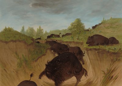 Grizzly Bears Attacking Buffalo, 1861-1869 by George Catlin
