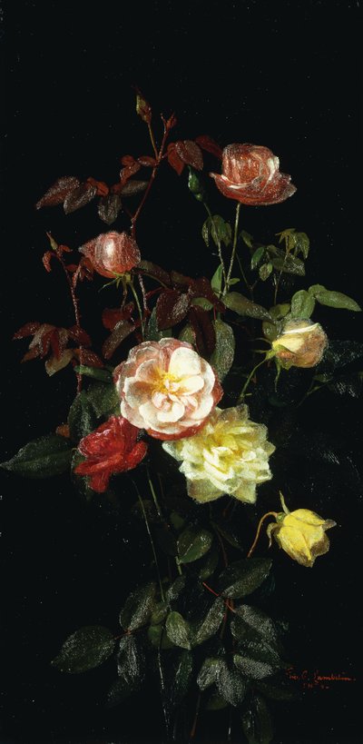 Roses by George Cochran Lambdin