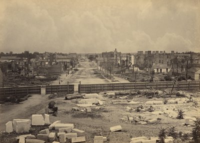 Columbia from the Capitol by George N. Barnard