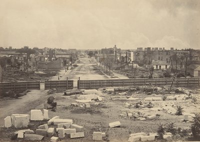 Columbia from the Capitol by George N. Barnard