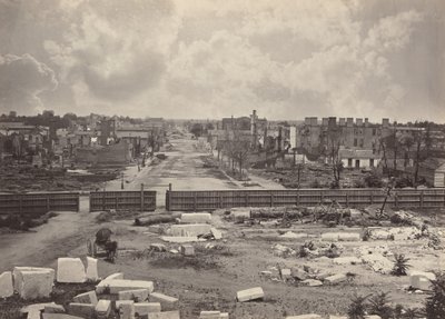 Columbia from the Capitol by George N. Barnard