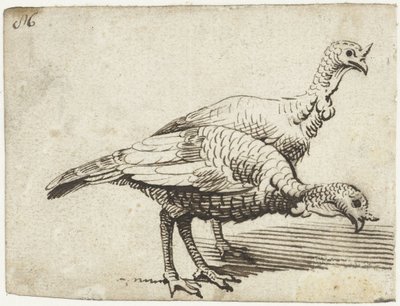 Two Turkeys by Gerard ter Borch (I)