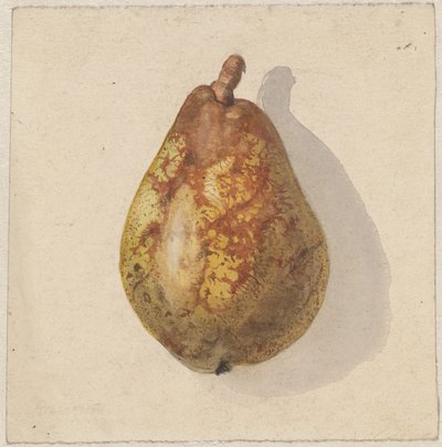 Pear by Gerardina Jacoba van de Sande Bakhuyzen
