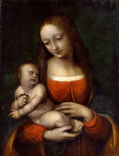 Virgin and Child by Giampietrino