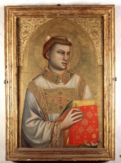 Unknown Image by Giotto di Bondone