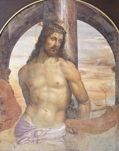 Christ at the Column by Giovanni Antonio Bazzi Sodoma