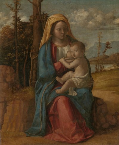 Madonna and Child by Giovanni Battista Cima da Conegliano