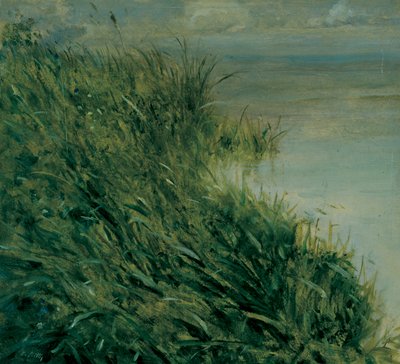 Study of Marsh by Giuseppe or Joseph de Nittis