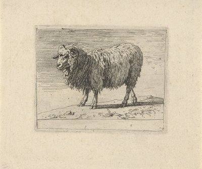 Ram by Govert van der Leeuw