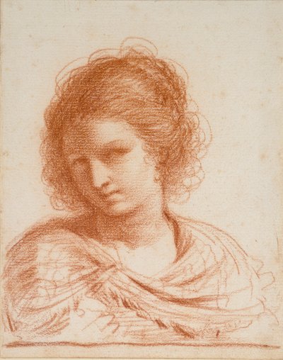 Head of a Young Woman by Guercino