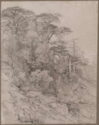Trees of a Rocky Hillside by Gustave Achille Guillaumet