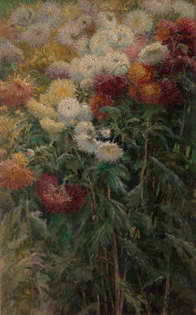 Chrysanthemums in the Garden at Petit-Gennevilliers by Gustave Caillebotte
