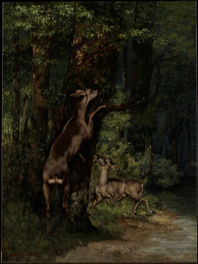 Deer in the Forest by Gustave Courbet