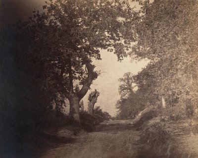 Fontainebleau, sandy path ascending, ca. 1856 by Gustave Le Gray