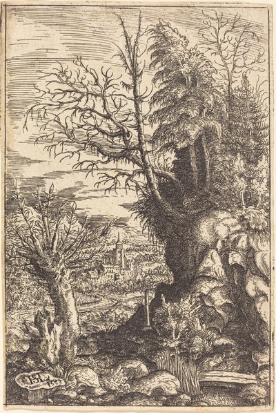 Landscape with a Willow by Hans Sebald Lautensack