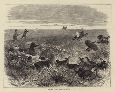 Among the Prairie Hens by Harrison William Weir