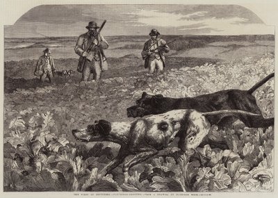 The First of September, Partridge-Shooting by Harrison William Weir