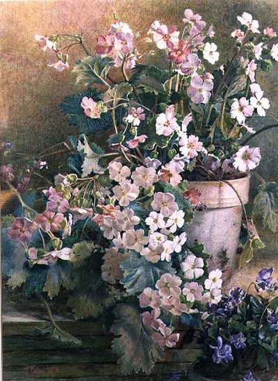 Study of Primroses by Hector Caffieri