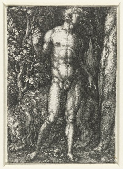Adam by Heinrich Aldegrever