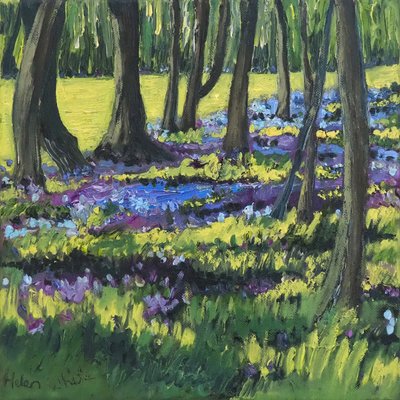 Bluebell Wood by Helen White