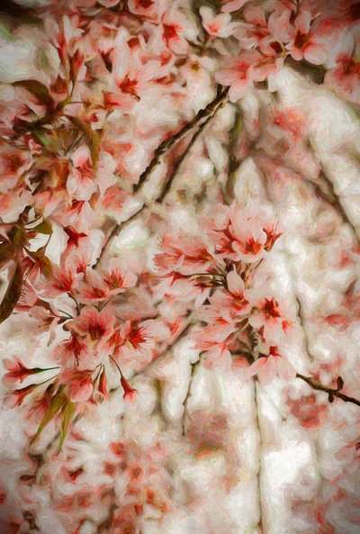 Orientalis by Helen White