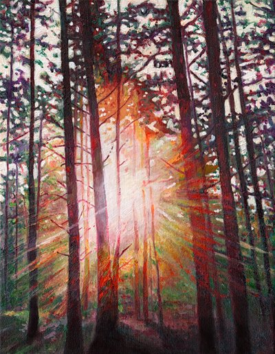 Sunburst by Helen White