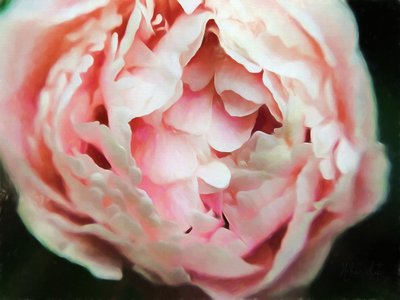 Tender Heart by Helen White