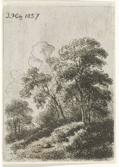 Trees on a Hill by Hendrik Jan Hein