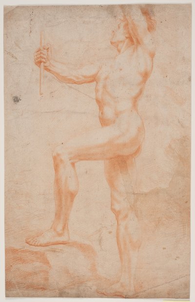 Male Model Study by Hendrik Krock