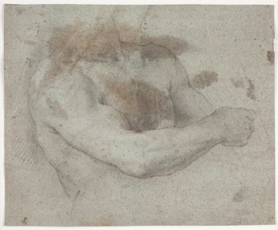 Upper Body of Male Model by Hendrik Krock