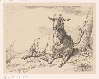 Lying Goat (Various Animals) by Hendrik Willem Schweickhardt