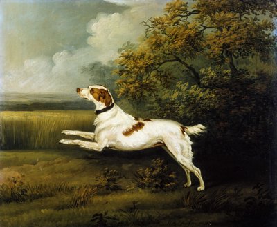 A Springer Spaniel in a Landscape by Henry Bernard Chalon