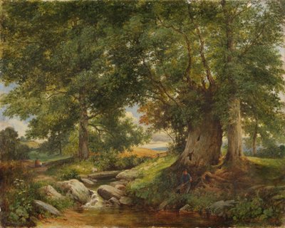 A Trout Stream near Worcester by Henry Chaplin