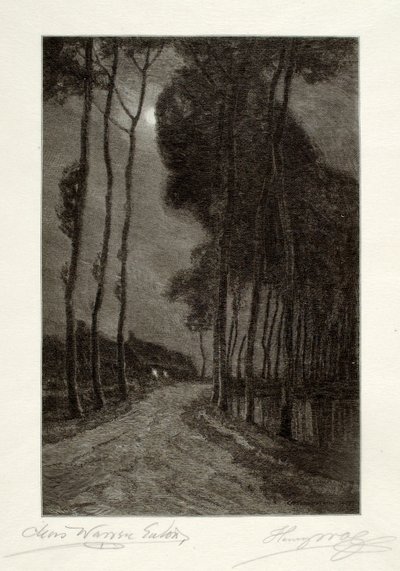 Moonlight in Holland by Henry Wolf