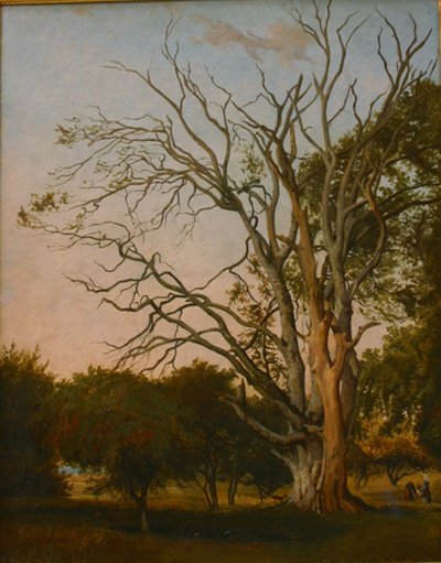 Woodland Scene with a Dead Tree by Hermann Carmiencke