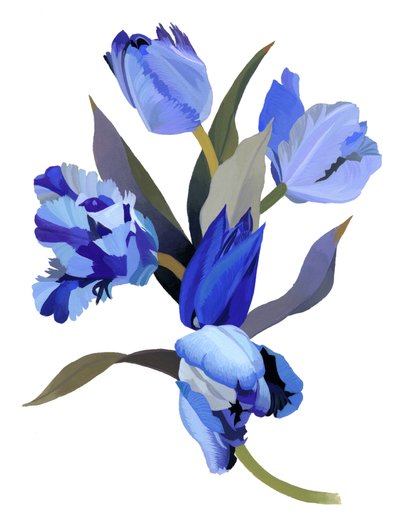 Blue Tulip by Hiroyuki Izutsu