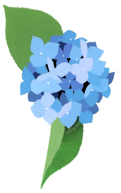 Hydrangea by Hiroyuki Izutsu