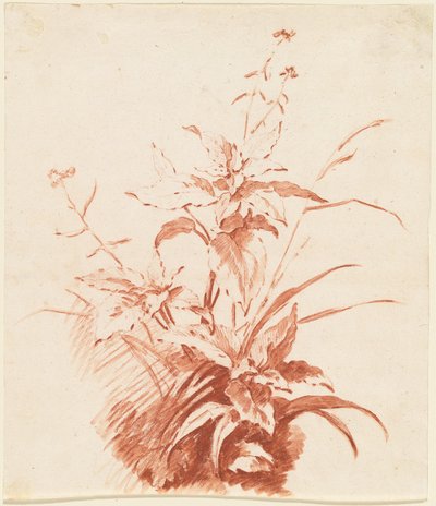 Flowering Plant with Grass by I Jean Baptiste Hüet