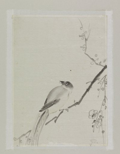 Bird on a Branch of a Cherry Tree by Ishikawa Kazan