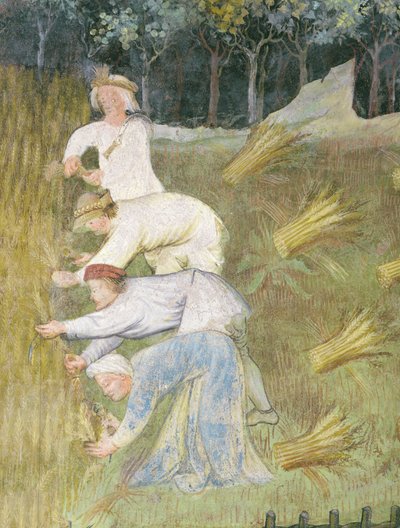 Harvesting wheat (detail) by Italian School